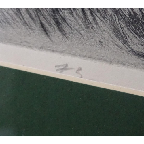 206 - Hungarian School, XX, Etching, A hunting scene with a woman riding side saddle and huntsmen with hor... 