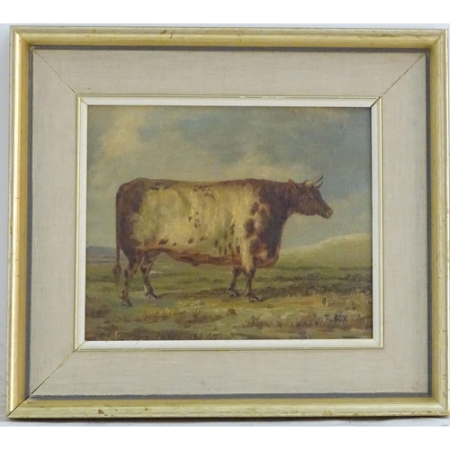 131 - J Box, XX, Oil on canvas laid on board, A portrait of a prize bull in a landscape. Signed lower righ... 