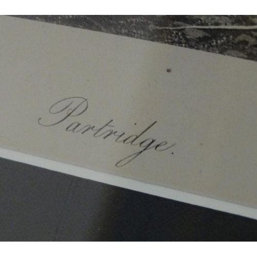 153 - After Archibald Thornburn (1860-1935), Scottish School, Engravings, A pair of ornithological prints ... 