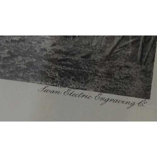 153 - After Archibald Thornburn (1860-1935), Scottish School, Engravings, A pair of ornithological prints ... 