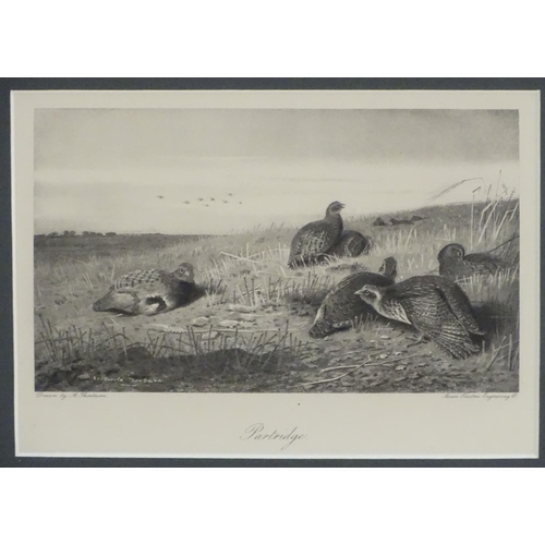 153 - After Archibald Thornburn (1860-1935), Scottish School, Engravings, A pair of ornithological prints ... 