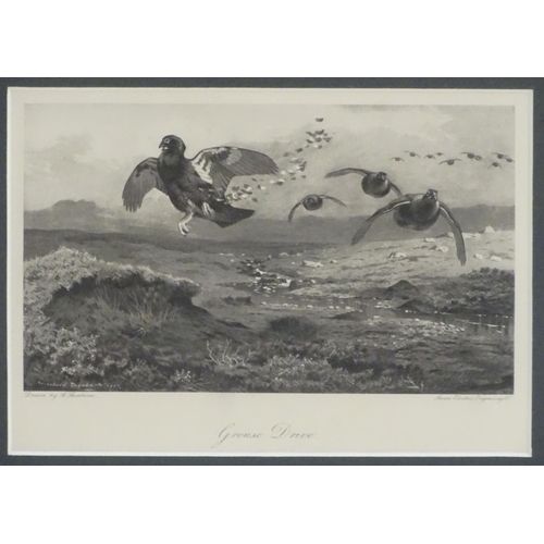 153 - After Archibald Thornburn (1860-1935), Scottish School, Engravings, A pair of ornithological prints ... 