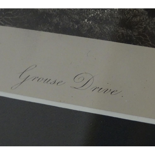 153 - After Archibald Thornburn (1860-1935), Scottish School, Engravings, A pair of ornithological prints ... 