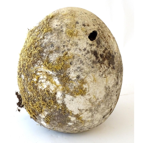 77 - A novelty, oversize ornithological display/film prop model egg, ceramic, 14 1/2