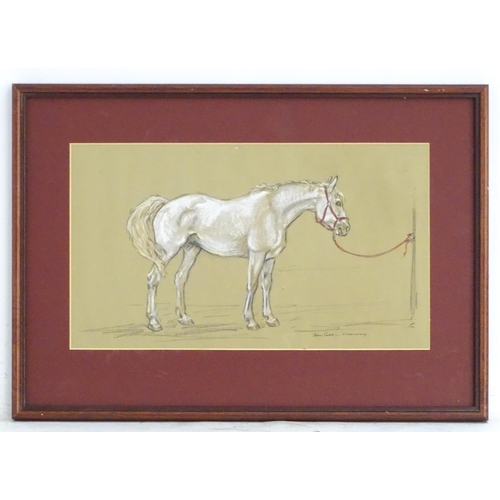 183 - Jean Parry-Williams (1918-2010), Chalk, pastels and pencils, A study of a horse. Signed lower right.... 