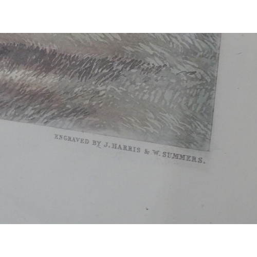 188 - J Harris & W Summers, after Harry Hall (1814-1882), Hand coloured lithograph, Knight of St. George, ... 