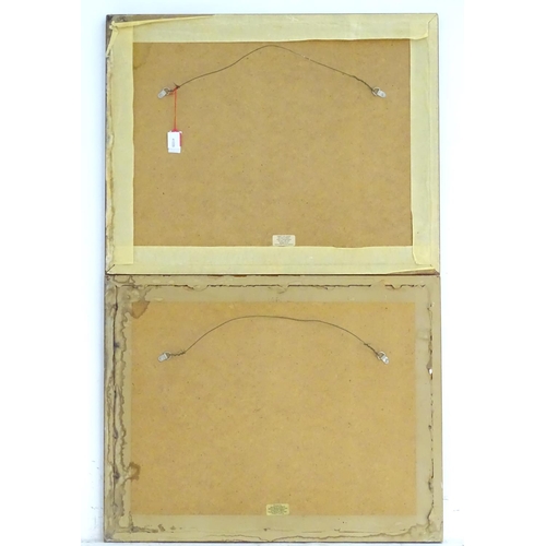 214 - J Godby (1790-1820) & H Merke (fl. 1799-1820), After Samuel Howitt (1757–1822), Engravings, Snipe Sh... 