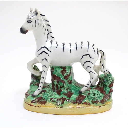 69 - A Staffordshire figure modelled as a zebra on a naturalistic oval base. Approx. 4 3/4