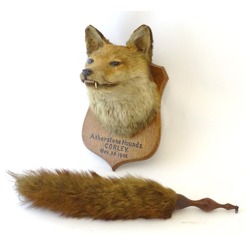 1171 - Taxidermy: L.W. Bartlett & Son, Banbury, a Fox (Vulpes Vulpes) mask, labelled to the reverse, mounte... 