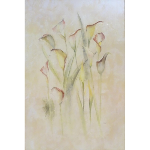 1684 - After Cheri Blum (1969-2003), Lithograph, Calla Lillies (Zantadeschia sp.), A stille life study of f... 