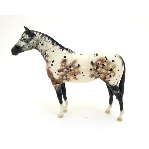 101 - A Beswick model of a horse / Appaloosa Stallion model 1772. Marked under with circular backstamp. Ap... 