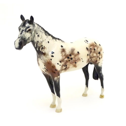 101 - A Beswick model of a horse / Appaloosa Stallion model 1772. Marked under with circular backstamp. Ap... 