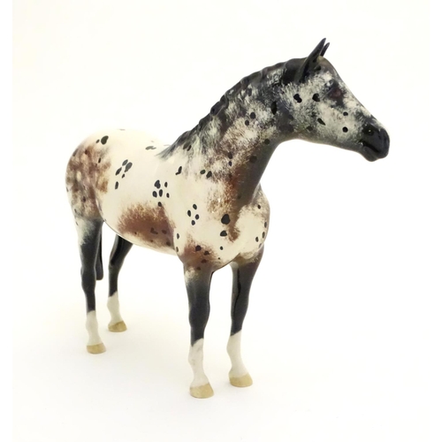 101 - A Beswick model of a horse / Appaloosa Stallion model 1772. Marked under with circular backstamp. Ap... 