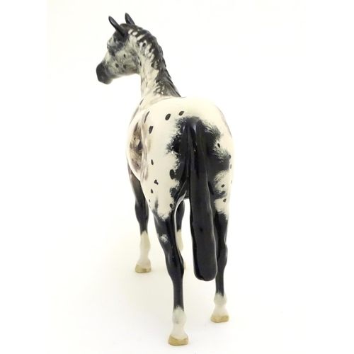 101 - A Beswick model of a horse / Appaloosa Stallion model 1772. Marked under with circular backstamp. Ap... 