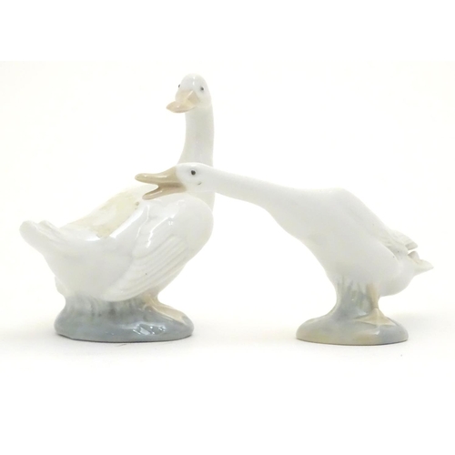 104 - A Lladro honking goose, model no. 4551, together with a Nao duck / goose, model no. 244. Both marked... 