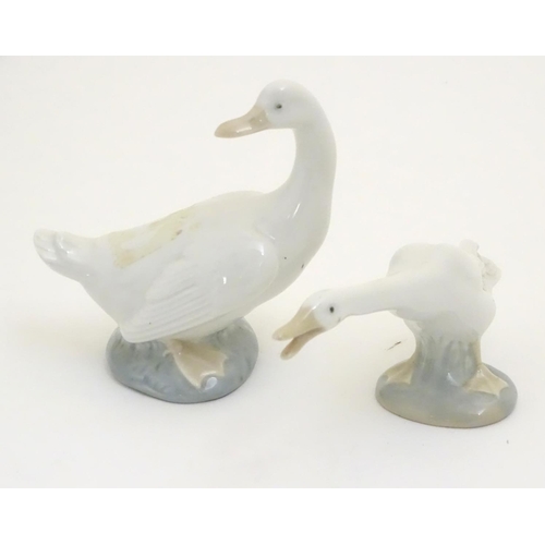 104 - A Lladro honking goose, model no. 4551, together with a Nao duck / goose, model no. 244. Both marked... 