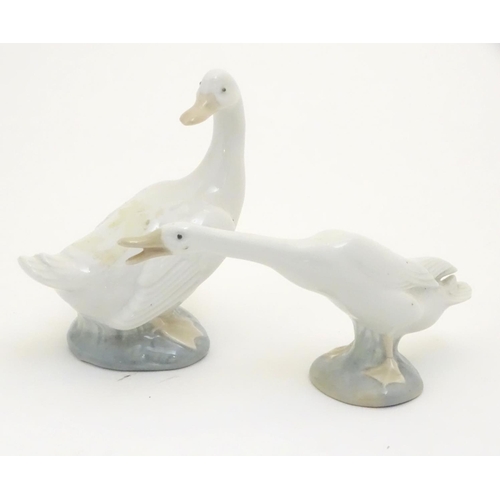 104 - A Lladro honking goose, model no. 4551, together with a Nao duck / goose, model no. 244. Both marked... 