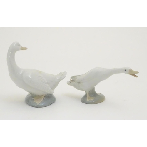 104 - A Lladro honking goose, model no. 4551, together with a Nao duck / goose, model no. 244. Both marked... 