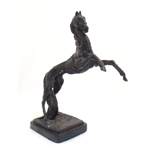 1022 - A 20thC bronze sculpture of a rearing horse on a rectangular base. Approx. 18