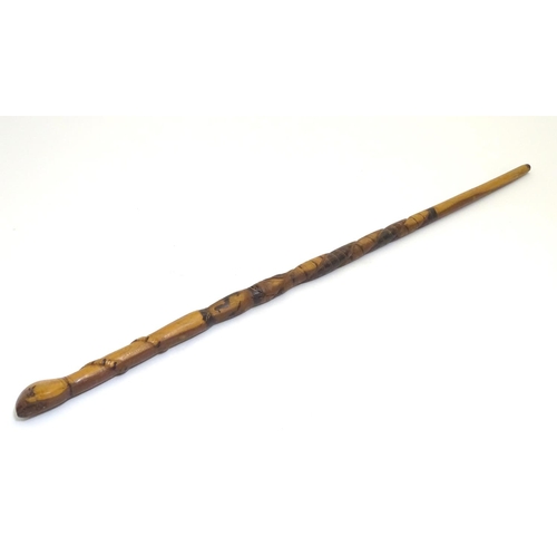 1094 - An early 20thC Australian blackwood walking cane, the knop formed as a clenched fist holding a snake... 