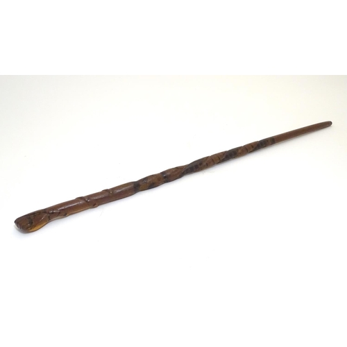 1094 - An early 20thC Australian blackwood walking cane, the knop formed as a clenched fist holding a snake... 