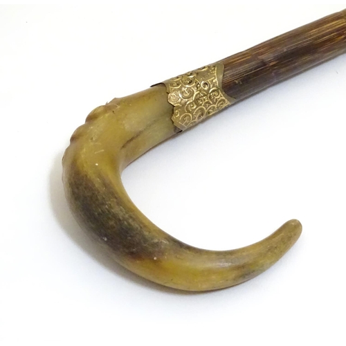 1095 - A 19thC walking stick, with rams horn handle, peacock wood shaft, brass embossed collar and rubber f... 