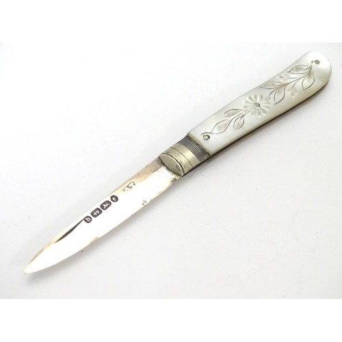 254 - A Victorian fruit knife with silver blade and mother of pearl handle. Hallmarked Birmingham 1876. 4