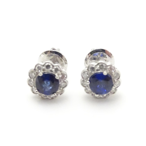 497 - A pair of 18ct gold stud earrings set with central sapphire bordered by diamonds. Approx. 1/4