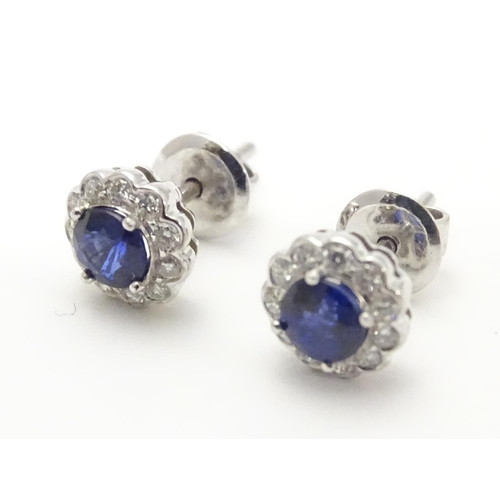 497 - A pair of 18ct gold stud earrings set with central sapphire bordered by diamonds. Approx. 1/4