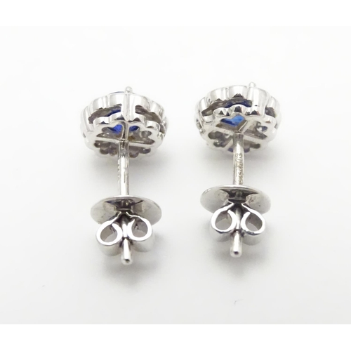 497 - A pair of 18ct gold stud earrings set with central sapphire bordered by diamonds. Approx. 1/4