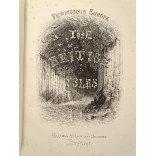 597 - Books: Picturesque Europe , The British Isles (pub. Cassell & Company, London 1879), in two volumes.