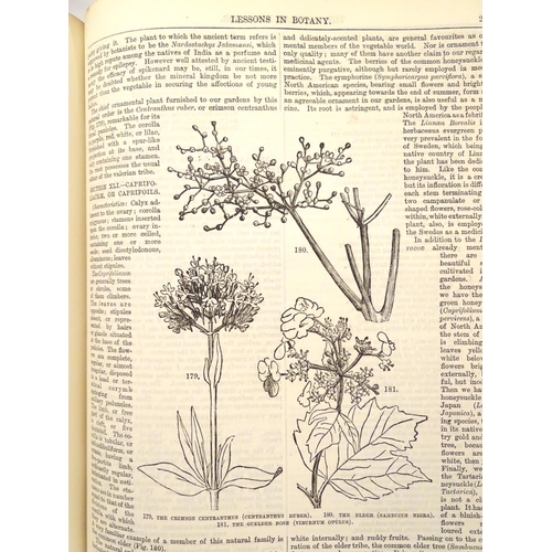 616 - Books: The Popular Educator (pub. Cassell, Petter & Galpin, c1890), in three editions containing six... 