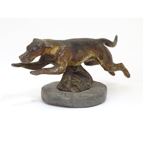 953 - A late 19th / early 20thC cold painted bronze car mascot modelled as a running hound / dog, on an as... 