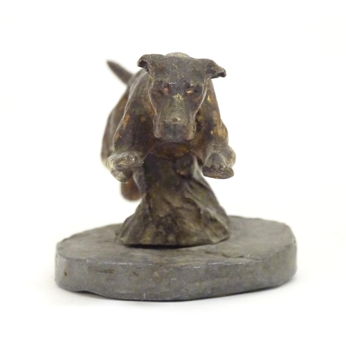 953 - A late 19th / early 20thC cold painted bronze car mascot modelled as a running hound / dog, on an as... 