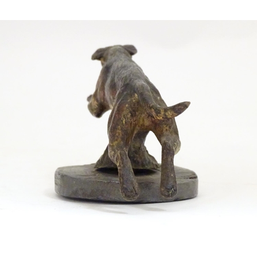 953 - A late 19th / early 20thC cold painted bronze car mascot modelled as a running hound / dog, on an as... 