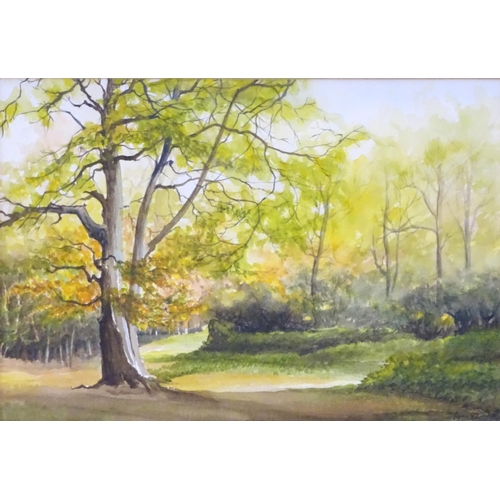 1679 - Initialled A, XX, English School, Watercolour, Tring Park, A wooded landscape scene in late Summer. ... 