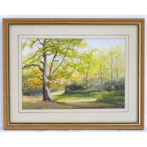 1679 - Initialled A, XX, English School, Watercolour, Tring Park, A wooded landscape scene in late Summer. ... 