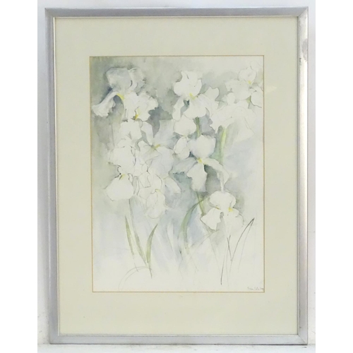 1689 - Tessa Cole, XX, Watercolour, White Irises, A still life study of flowers. Signed and dated 2004 lowe... 