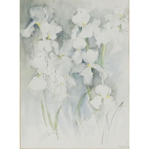 1689 - Tessa Cole, XX, Watercolour, White Irises, A still life study of flowers. Signed and dated 2004 lowe... 