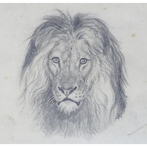 1691 - Manner of John Frederick Lewis (1804-1875), Pencil drawing on paper, A portrait of a lion, inscribed... 