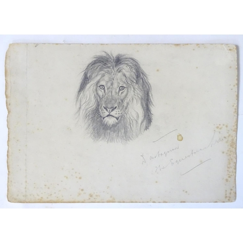 1691 - Manner of John Frederick Lewis (1804-1875), Pencil drawing on paper, A portrait of a lion, inscribed... 