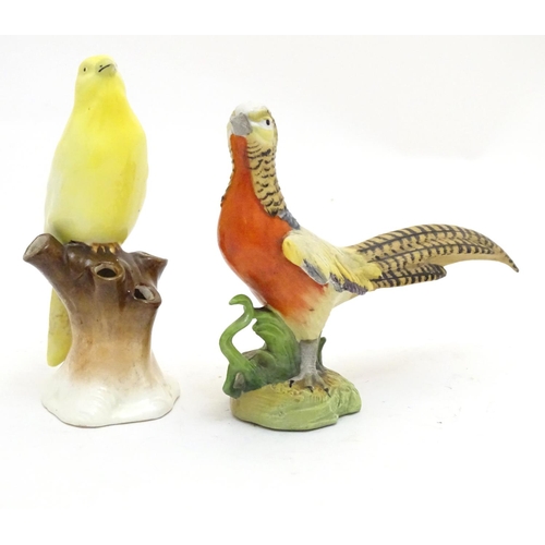 101 - Two Continental models of birds comprising a yellow canary perched on a branch and a pheasant. One m... 