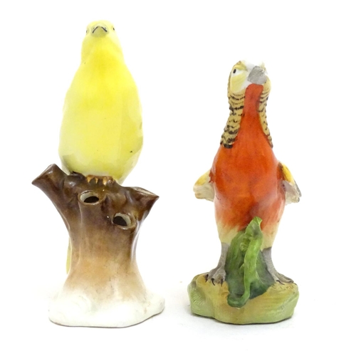 101 - Two Continental models of birds comprising a yellow canary perched on a branch and a pheasant. One m... 