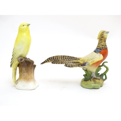 101 - Two Continental models of birds comprising a yellow canary perched on a branch and a pheasant. One m... 