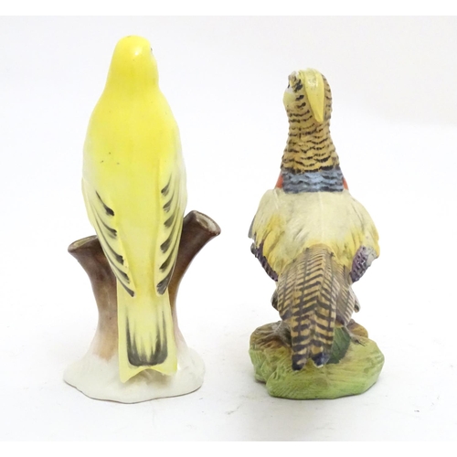 101 - Two Continental models of birds comprising a yellow canary perched on a branch and a pheasant. One m... 