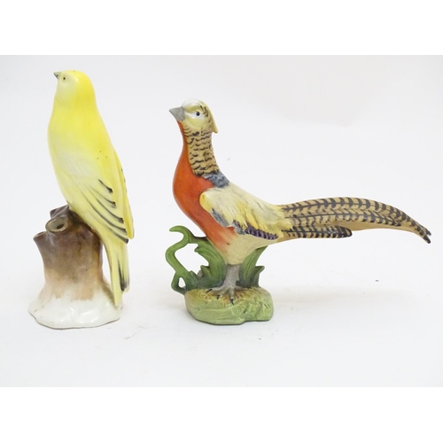 101 - Two Continental models of birds comprising a yellow canary perched on a branch and a pheasant. One m... 