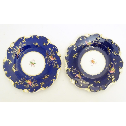 112 - Two 19thC dessert plates with cobalt blue ground scrolling gilt highlights and hand painted bird and... 