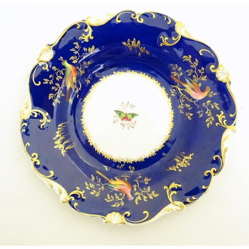 112 - Two 19thC dessert plates with cobalt blue ground scrolling gilt highlights and hand painted bird and... 