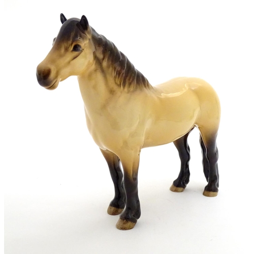 153 - A Beswick Highland dun pony / horse, model no. 1644, designed by Arthur Gredington. Marked under. Ap... 