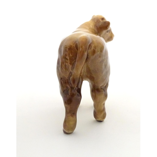 157 - A Beswick Highland calf, model no. 1827D, designed by Arthur Gredington. Marked under. Approx. 3